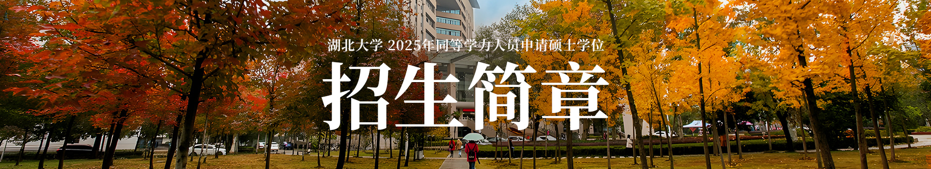 湖北大学同等学力申硕综合服务平台