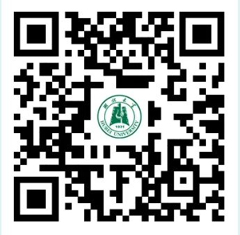 781691a319e1271681d11921d116b1201081c412a1a41bb1.png
